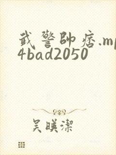 武警帅痞.mp4bad2050封面