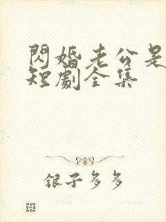 闪婚老公是豪门短剧全集