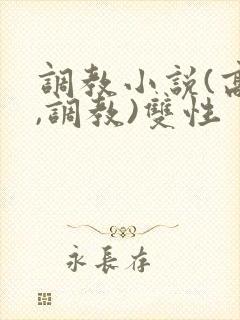 调教小说(高h,调教)双性
