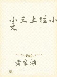 小三上位小说全文