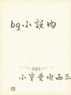 bg小说肉
