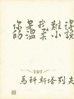 你是我难得一见的温柔小说免费阅读封面