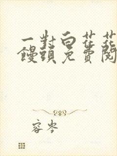 一对白花花的大馒头免费阅读封面