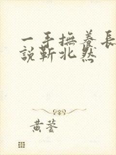 一手抚养长大小说靳北然封面