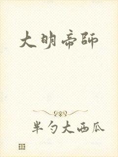 大明帝师封面