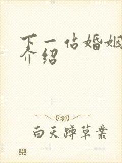 下一站婚姻剧情介绍