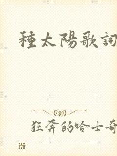 种太阳歌词封面