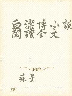 白洁传小说免费阅读全文
