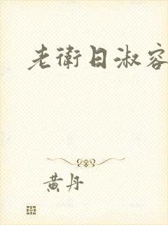 老卫日淑容封面
