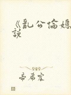 《乱公伦媳》小说封面