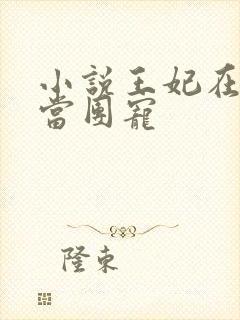 小说王妃在京城当团宠