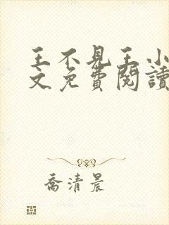 王不见王小说全文免费阅读