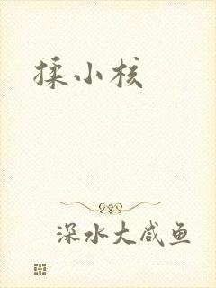 揉小核封面