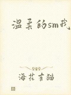 温柔的sm我