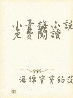 小青梅小说全文免费阅读