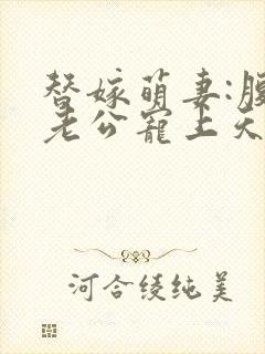 替嫁萌妻:腹黑老公宠上天