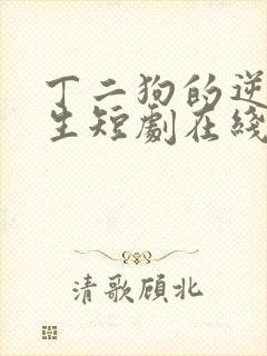 丁二狗的逆袭人生短剧在线观看