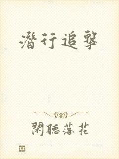 潜行追击