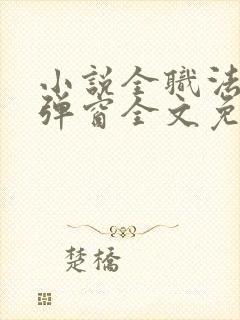 小说全职法师无弹窗全文免费阅读