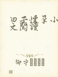 田子怀孕小说全文阅读封面