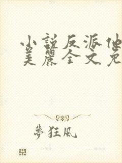 小说反派他过分美丽全文免费阅读