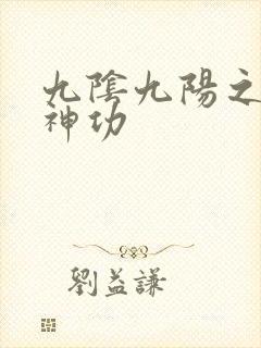 九阴九阳之阴阳神功封面