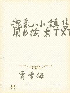 混乱小镇售票员用B检票TXT封面
