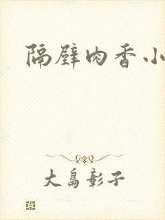 隔壁肉香小说
