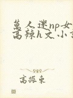 万人迷np女嬷高辣h文小说免费阅读封面