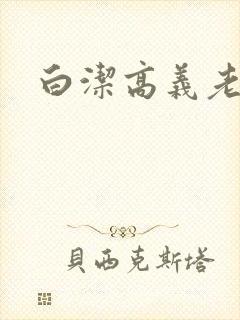 白洁高义老七