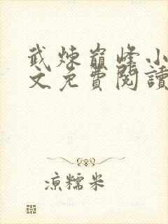 武炼巅峰小说全文免费阅读无弹窗封面