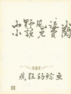 山野风流小神医小说免费阅读