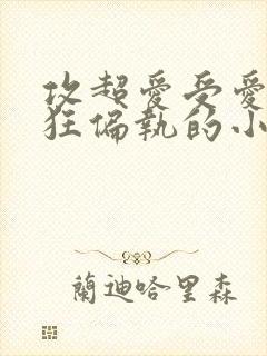 攻超爱受爱到疯狂偏执的小说