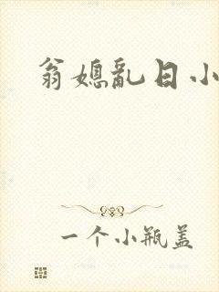 翁媳乱日小说