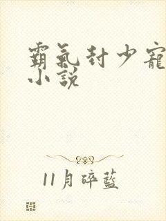 霸气封少宠妻忙小说