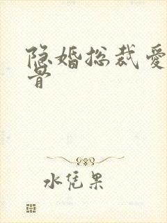 隐婚总裁爱你入骨