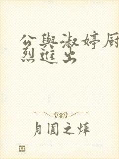 公与淑婷厨房猛烈进出