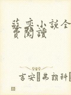 苏奕小说全文免费阅读封面