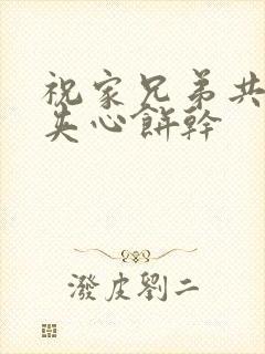 祝家兄弟共享后夹心饼干