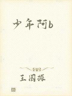 少年阿b封面