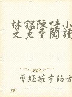 林铭陈佳小说全文免费阅读最新章节封面