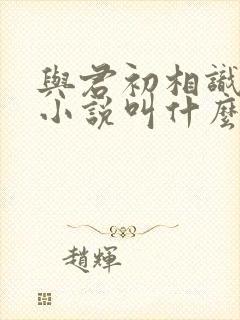 与君初相识原著小说叫什么封面