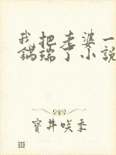我把老婆一家一锅端了小说
