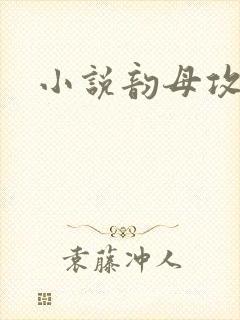 小说韵母攻略