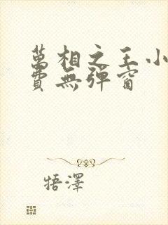 万相之王小说免费无弹窗