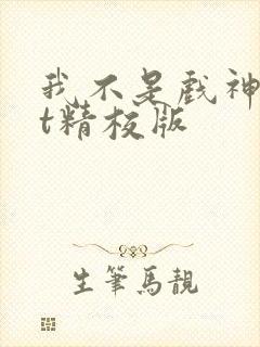 我不是戏神txt精校版