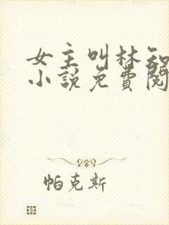 女主叫林知夏的小说免费阅读
