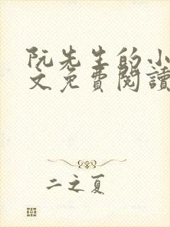 阮先生的小说全文免费阅读无弹窗