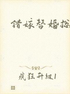 错嫁替婚总裁