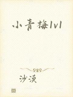 小青梅1v1